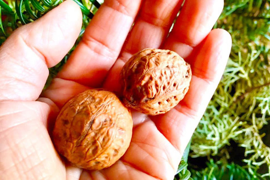 【ハーブ満喫コース】ハーバルハンドバス体験チケット（2名様分）＜ハーバルヘルスケアトレーナーの会 みちくさ＞【長野県池田町】