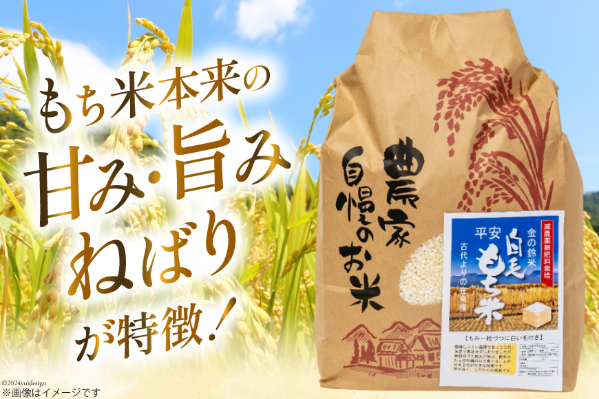もち米 金の鈴米 平安 白毛もち米 精米 5kg [池田町観光協会 長野県 池田町 48110725] 白毛餅米 古代米 餅米