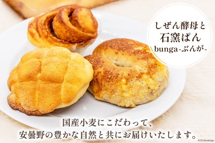 パン ぶんがお試し セット 8個入 [しぜん酵母と石窯ぱん bungaーぶんがー 長野県 池田町 48110557] 手作りパン 天然酵母 自家製酵母 窯焼きパン ハードパン メロンパン ぶどうパン