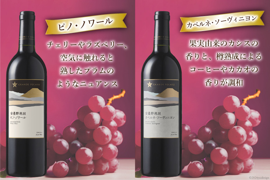 12回 定期便 ワイン セット サッポロ グランポレール 安曇野池田ヴィンヤード 6種 各750ml 総計72本 飲み比べ [池田町ハーブセンター 長野県 池田町 48110632] 赤 白 赤ワイン 白ワイン 辛口 シャルドネ