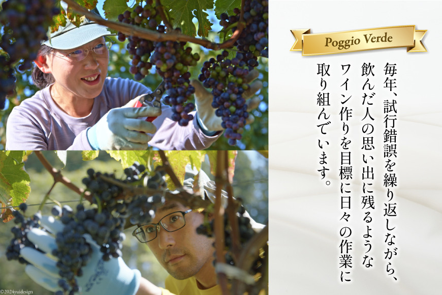 白 ワイン ジョイア シャルドネ 750ml 1本 [Poggio Verde（ポッジョ・ヴェルデ） 長野県 池田町 48110671] 白ワイン わいん 国産ぶどう使用 お酒 酒 アルコール