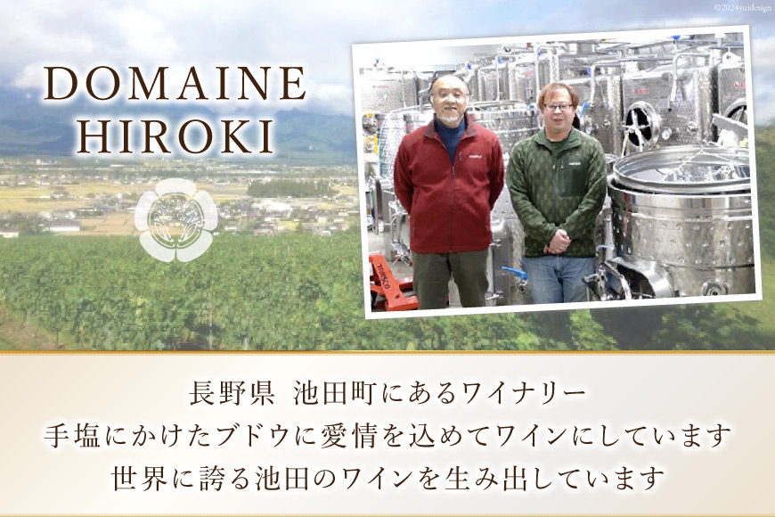 定期便 ワイン 赤白 6本 セット 各 750ml 6回 計 36本 [ヴィニョブル安曇野 長野県 池田町 48110765] フルボディ 飲み比べ ワインセット 赤ワイン 白ワイン