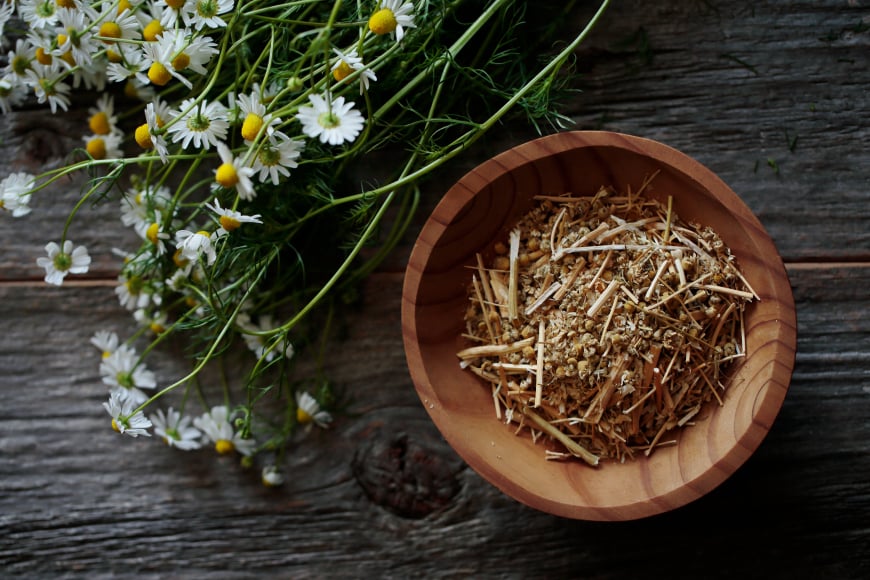 華密恋 薬用入浴剤 1500mL ( 特大 詰替え用 ） [カミツレ研究所 長野県 池田町 48110805] カミツレン カミツレ 入浴剤