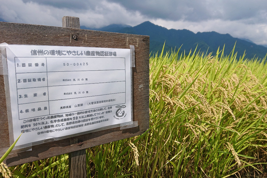 ＜全国新酒鑑評会入賞酒＞大雪渓　大吟醸山田錦 720ml [大雪渓酒造 長野県 池田町 48110532]