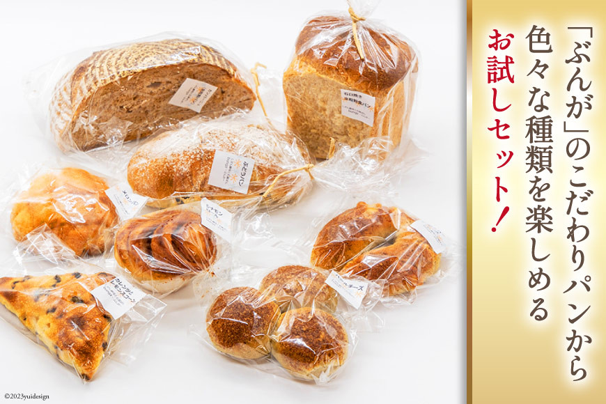 パン ぶんがお試し セット 8個入 [しぜん酵母と石窯ぱん bungaーぶんがー 長野県 池田町 48110557] 手作りパン 天然酵母 自家製酵母 窯焼きパン ハードパン メロンパン ぶどうパン