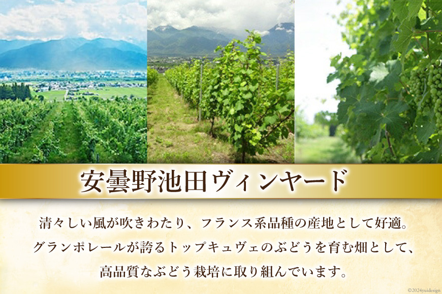 12回 定期便 ワイン セット サッポロ グランポレール 安曇野池田ヴィンヤード 6種 各750ml 総計72本 飲み比べ [池田町ハーブセンター 長野県 池田町 48110632] 赤 白 赤ワイン 白ワイン 辛口 シャルドネ
