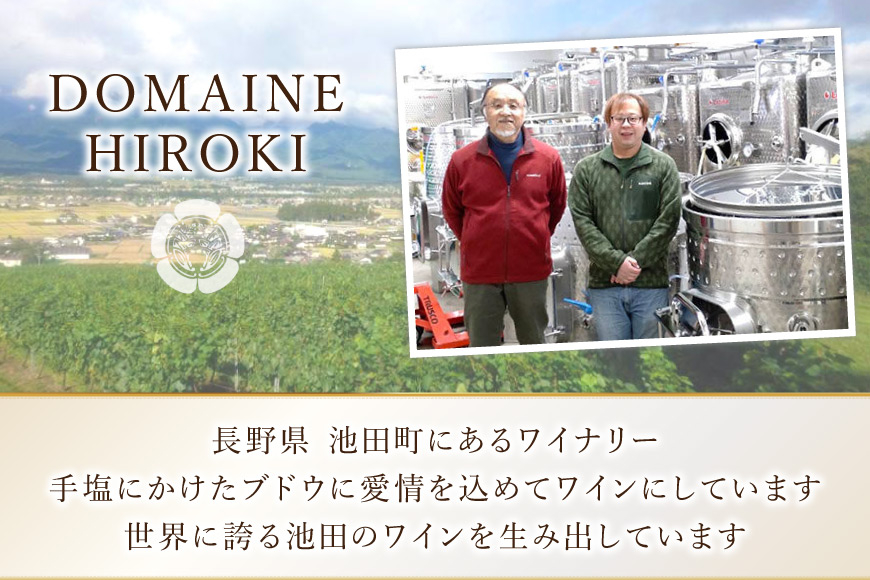 定期便 ロゼワイン メルロー ロゼ 750ml 3回 計 3本  [ヴィニョブル安曇野 長野県 池田町 48110760] ギフト ワイン