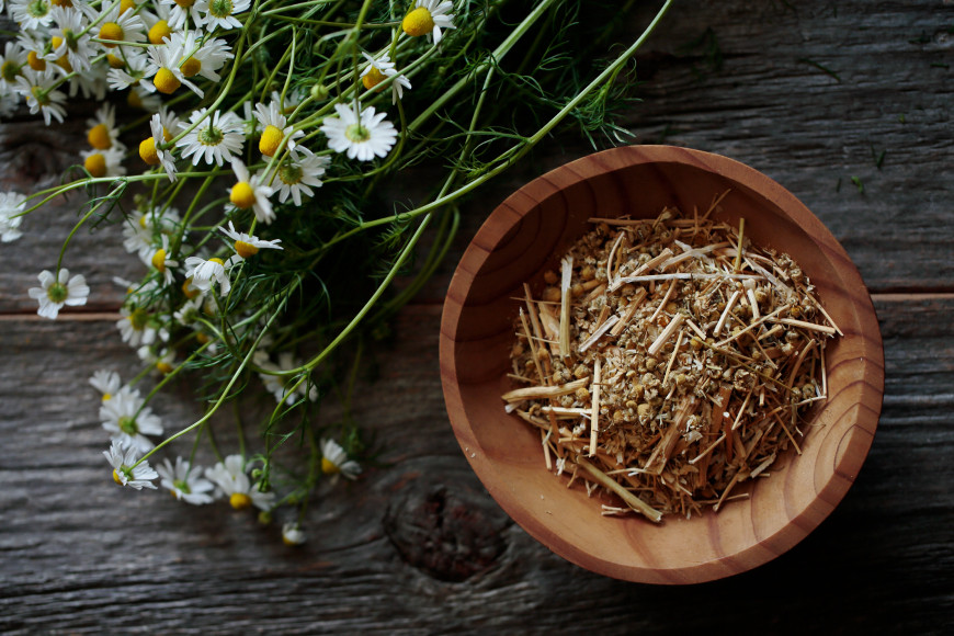 華密恋 ナチュラルソープ 100g [カミツレ研究所 長野県 池田町 48110796] カミツレン カミツレ ソープ