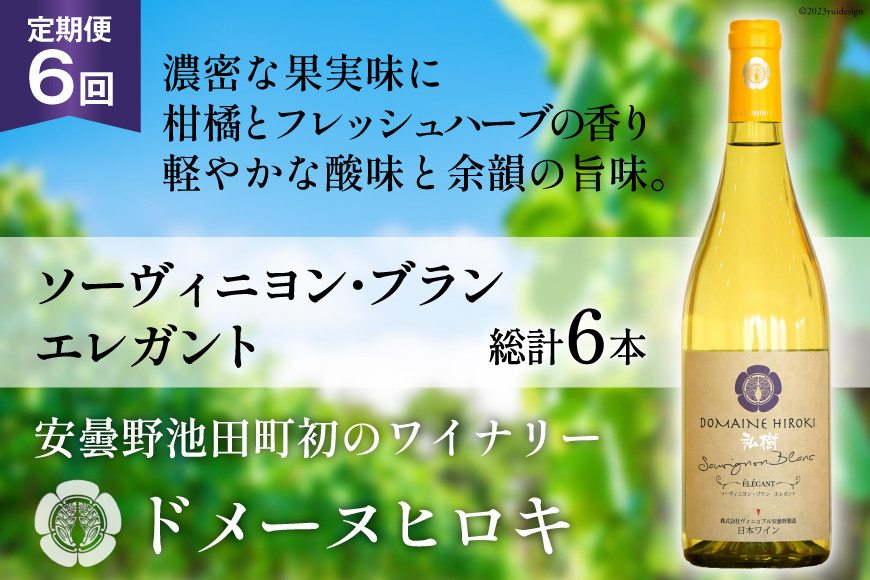 ワイン ソーヴィニヨン ブラン エレガント 750ml 1本 6回 定期便 総計6本 [ヴィニョブル安曇野 長野県 池田町 48110356] 白ワイン お酒 酒