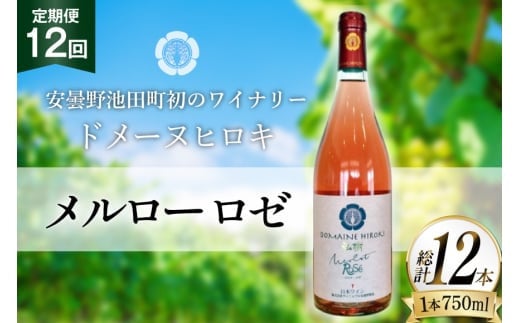 定期便 ロゼワイン メルロー ロゼ 750ml 12回 計 12本 [ヴィニョブル安曇野 長野県 池田町 48110758] ギフト ワイン
