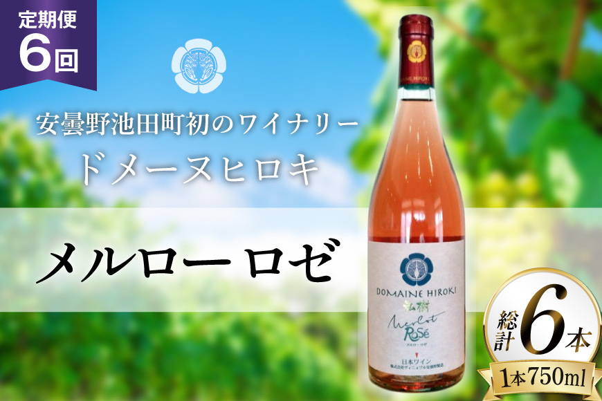 定期便 ロゼワイン メルロー ロゼ 750ml 6回 計 6本 [ヴィニョブル安曇野 長野県 池田町 48110759] ギフト ワイン
