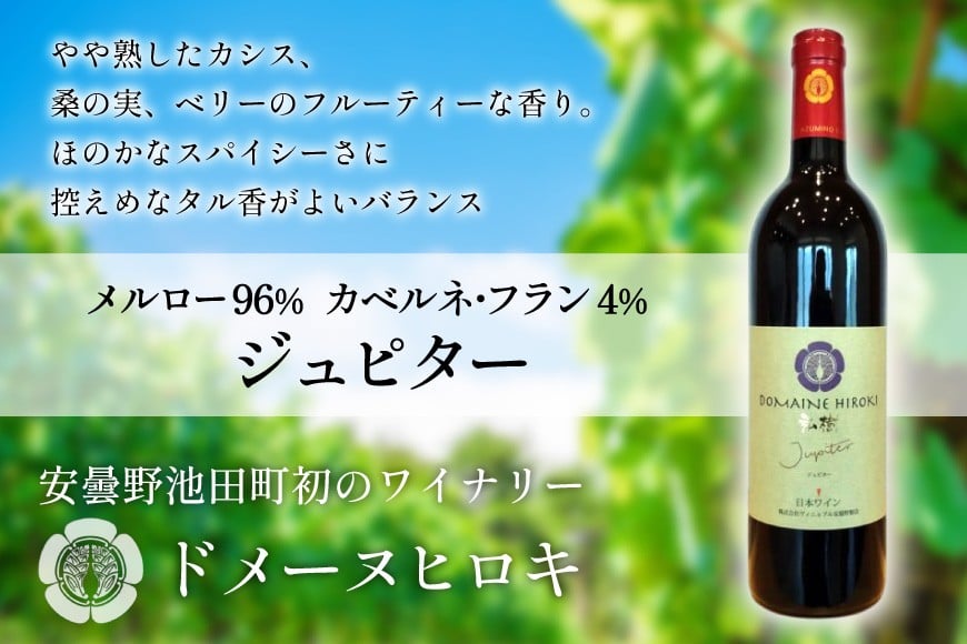 ジュピター 750ml 1本 [ ヴィニョブル安曇野(ドメーヌ・ヒロキ) 長野県 池田町 48110811] ワイン 赤 赤ワイン