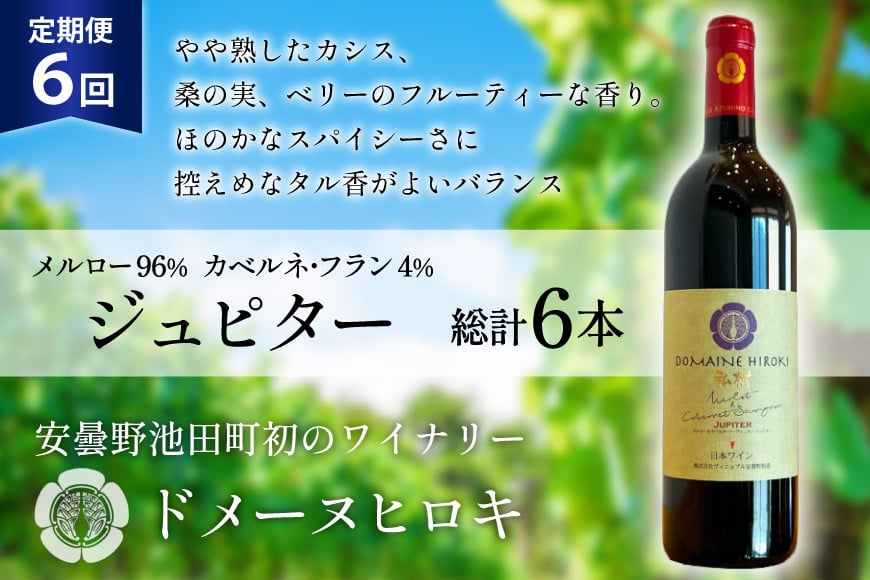 6回 定期便 ワイン ジュピター 750ml×1本 計6本 [ ヴィニョブル安曇野(ドメーヌ・ヒロキ) 長野県 池田町 48110813] ワイン 赤 赤ワイン