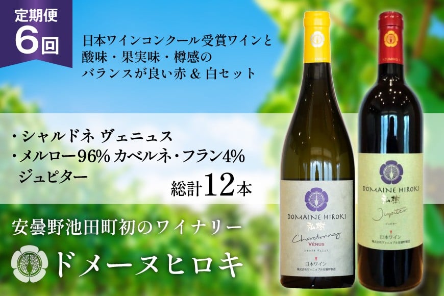 ワイン 定期便 6回 ジュピターとシャルドネヴェニュス 各750ml計2本×6回 総計12本 [ヴィニョブル安曇野 長野県 池田町 48110820] 赤ワイン 白ワイン 飲み比べ ドメーヌヒロキ