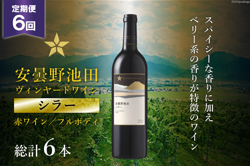 6回 定期便 赤ワイン サッポロ グランポレール 安曇野池田ヴィンヤード「シラー」750ml 総計6本 [ナチュラルマルシェ ソヨソヨ 長野県 池田町 48110856] 赤 ワイン フルボディ 濃厚 凝縮 お酒 酒