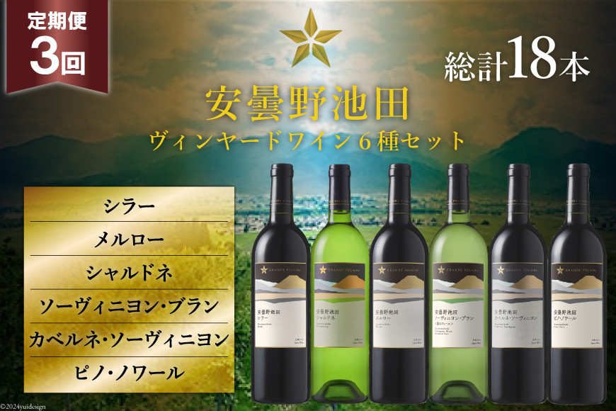 3回 定期便 ワイン セット サッポロ グランポレール 安曇野池田ヴィンヤード 6種 各750ml 総計18本 飲み比べ [ナチュラルマルシェ ソヨソヨ 長野県 池田町 48110876] 赤 白 赤ワイン 白ワイン 辛口 シャルドネ