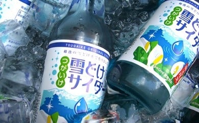 雪どけサイダー20本セット　340ml×20本