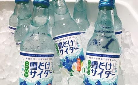 雪どけサイダー20本セット　340ml×20本