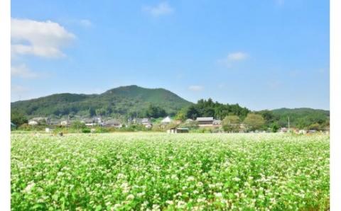 小谷産そば粉使用の手打ちそば