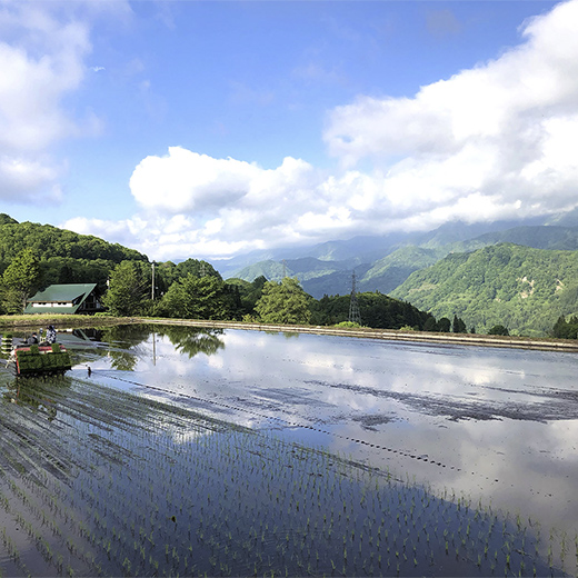 【令和7年度産】長野県小谷村百姓七人衆のあきたこまち【玄米】　３kg