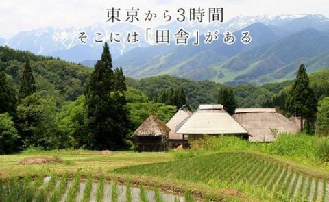 小谷村宿泊券15,000円分: 小谷村ANAのふるさと納税