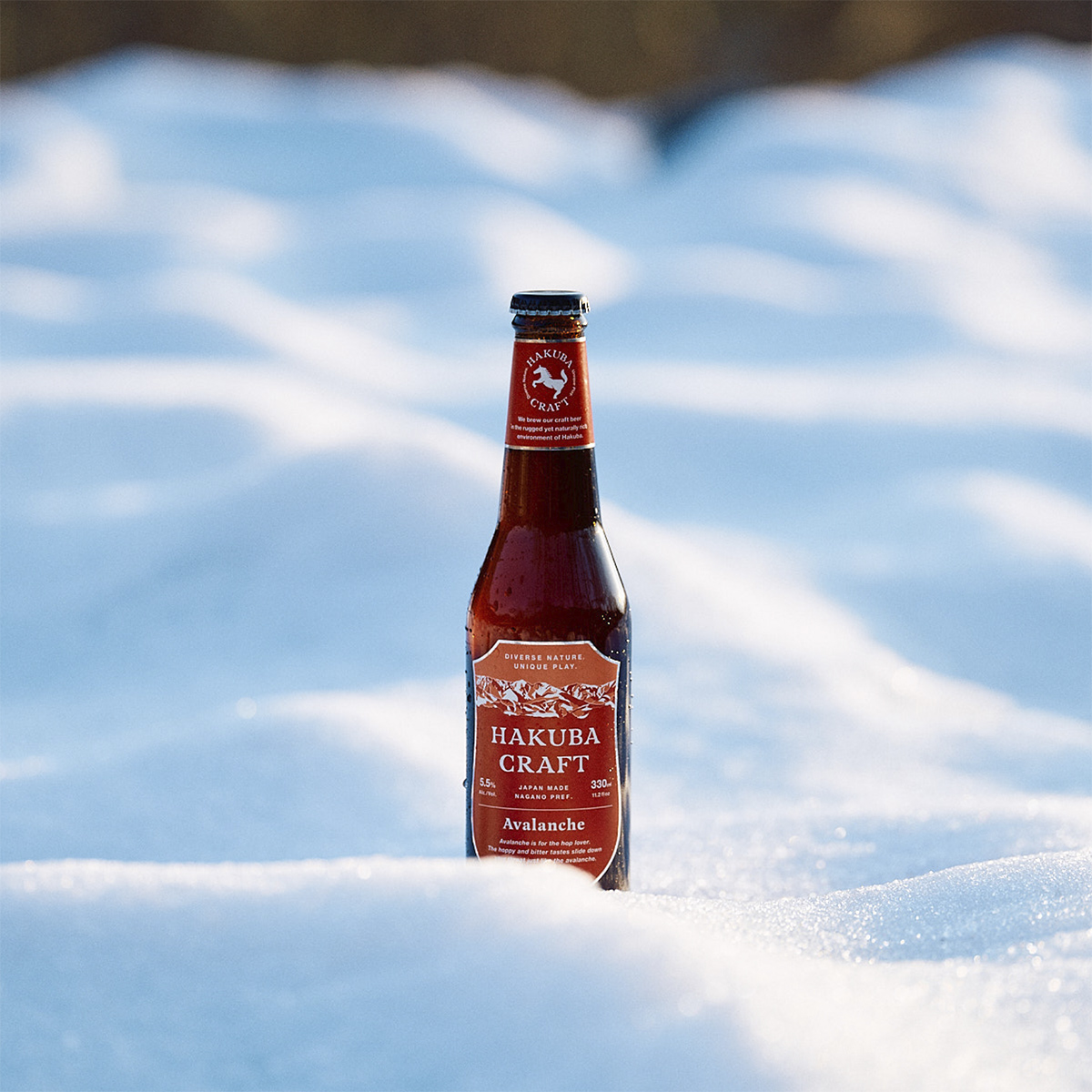 HAKUBA CRAFT ギフトカード定番 6 本セット