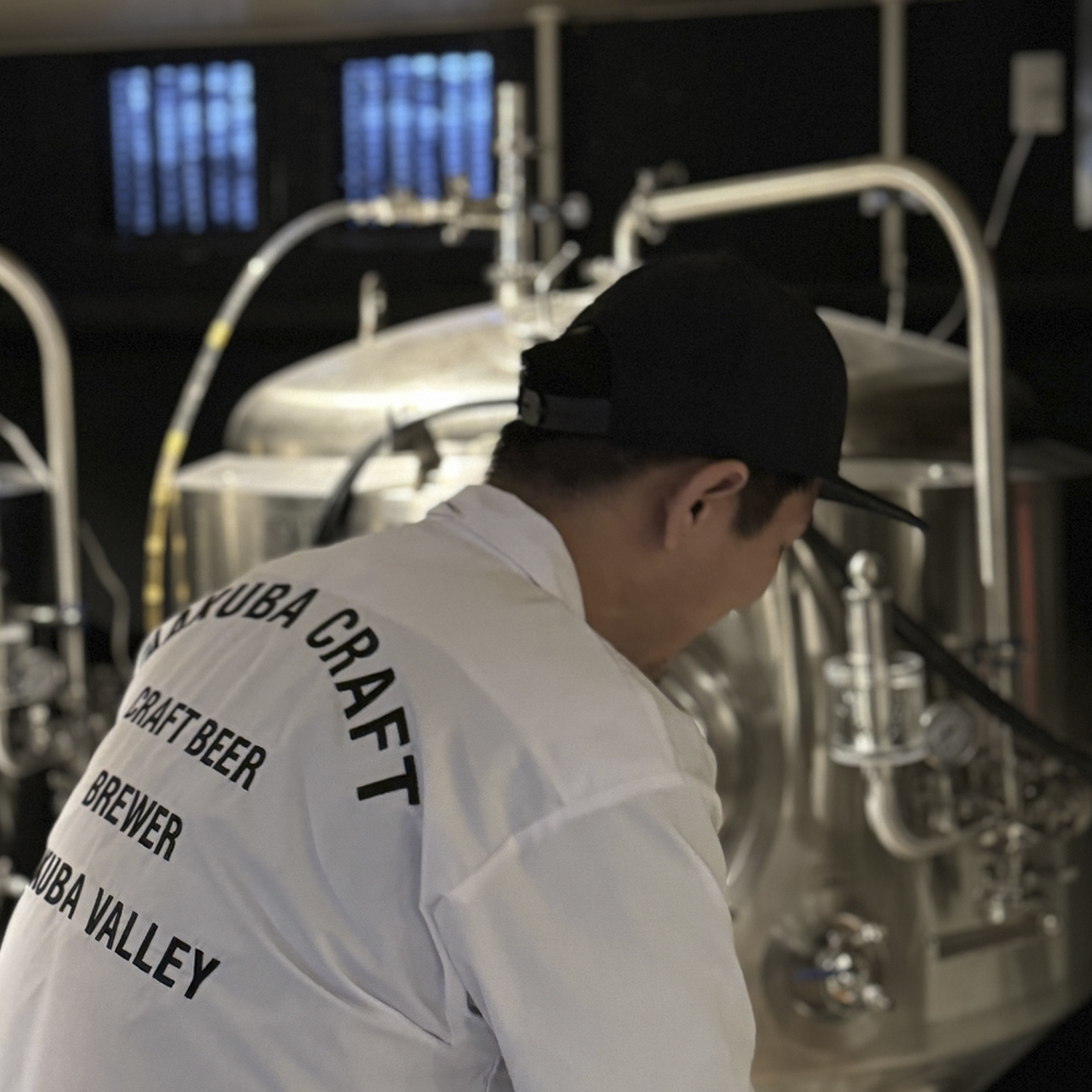 HAKUBA CRAFT ギフトカード定番 3 本セット