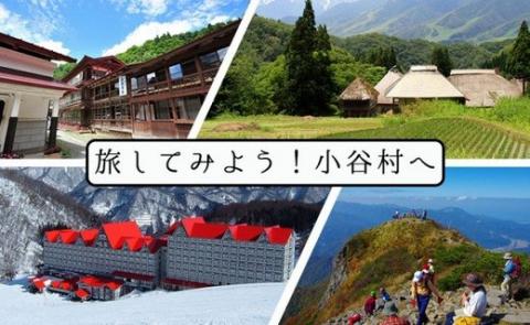 小谷村宿泊券80,000円分