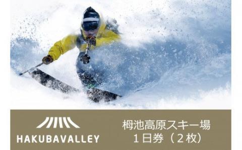 HAKUBA VALLEY 栂池高原スキー場リフト1日券（シニア）2枚: 小谷村ANAのふるさと納税