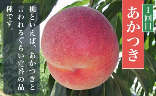 【3回定期便】小布施屋の 桃食べ比べ定期便 約1.8kg×3回 ［小布施屋］ 桃 もも モモ フルーツ 果物 冷蔵便 クール便 長野県産 令和8年産【2026年7月末～9月上旬発送】