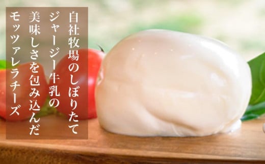 無添加 小布施牧場の搾りたてジャージー牛乳で作ったモッツァレラチーズ 100g × 2個 ［小布施牧場］チーズ モッツァレラ プレゼント 長野 信州 冷蔵便 クール便 ［B-14］