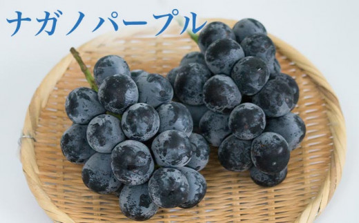 巨峰のように黒く大粒、皮ごと食べられる希少なナガノパープル。