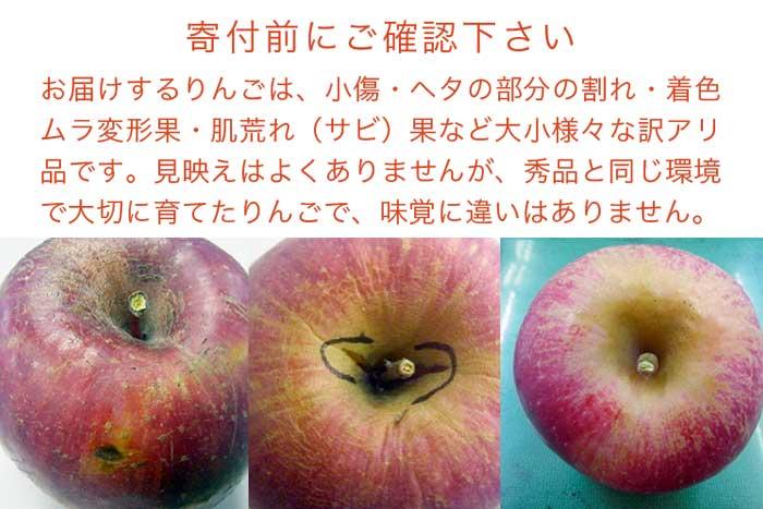 【訳あり】【年内配送】 サンふじ 約3kg 6～12玉 ［おぶせファーマーズ］ 年内発送 果物 フルーツ りんご 不揃い 規格外 家庭用 林檎 リンゴ ふじ 長野県 信州 数量限定 2025 令和7年産 【2025年11月中旬～12月下旬配送】 12月15日決済確定分まで年内配送