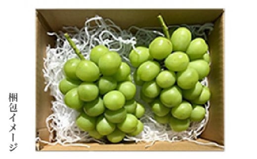 蔵出し冬のシャインマスカット 約1kg 2房 ［小布施屋 ］長野県 ぶどう フルーツ 果物 冷蔵便 クール便 令和7年産【2025年11月中旬～2026年2月発送】［A-502］ 約1kg / 15,000円
