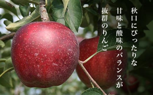 甘味と酸味のバランスが良く、濃厚な味わいで夏の疲れを癒します。