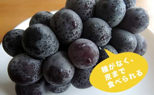  甘みと、黒ブドウならではのコクが有り濃厚な味わいのぶどうです。