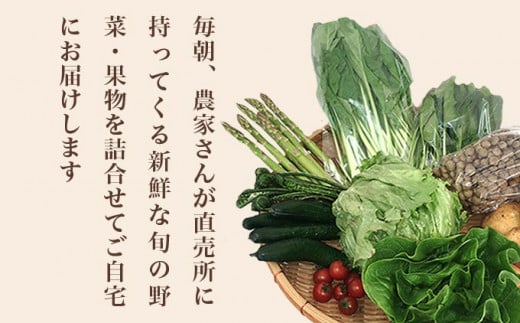 直売所から直送 旬の野菜・果物セット 6～10品 ［小布施屋］野菜 やさい 果物 フルーツ 詰め合わせ 詰合せ  令和8年産【2026年5月下旬～9月上旬発送】 ［H-79］
