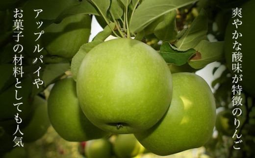 煮崩れしにくく、アップルパイにも人気の品種です。