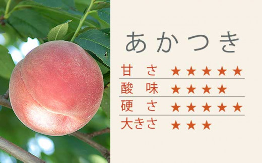 あかつき 約3kg 7～12玉 ［小布施屋］ 桃 もも モモ フルーツ 果物 令和8年産 【2026年7月末頃～8月上旬発送】