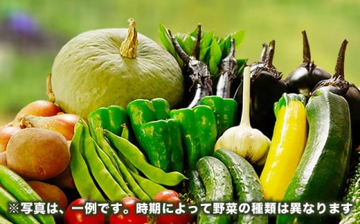  ［栽培期間中農薬・化学肥料不使用 ］OBUSE Meguru 野菜セット S 7～10種類 ［おぶせファーマーズ］野菜 詰め合わせ おまかせ やさい 詰合せ お楽しみ 長野県産 信州 令和7年産 【2025年5月中旬より順次発送】  [FY-1]