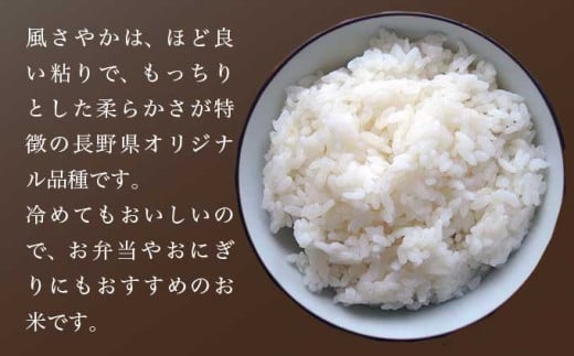 風さやか 玄米  約10kg ［ おぶせファーマーズ ］ お米 コメ おこめ ご飯 精米 長野県産 【2025年11月上旬～発送】［FK-20］ 玄米  約10kg / 28,000円