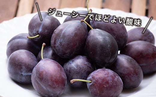 加工品とは違う、ジューシーで爽やかな生プルーンの味わい。