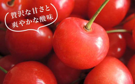 旬のさくらんぼ 佐藤錦、紅秀峰、紅佐藤、紅香、サミット 約1kg［小布施屋］サクランボ くだもの 果物 フルーツ チェリー バラ詰め 長野県産 信州産 数量限定 令和8年産【2026年6月中旬～7月中旬発送】