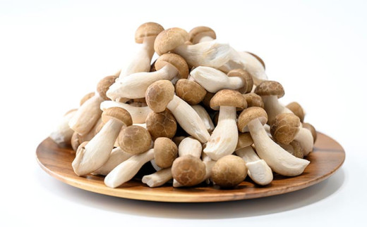 太くて食べごたえ抜群、料理でも存在感のある一品。