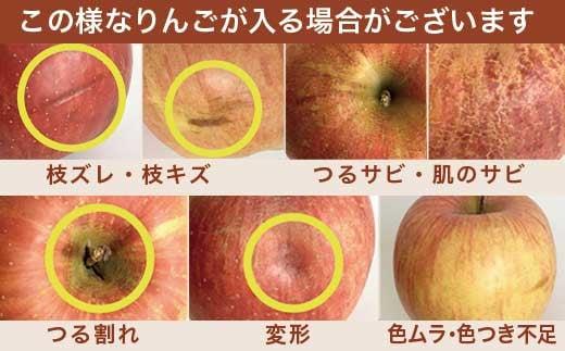［訳あり］ 選べる配送時期 旬のりんご 約3kg 6～14玉 ［小布施屋］ 傷 規格外 不揃い 訳アリ 家庭用 りんご 林檎 リンゴ 果物 フルーツ 長野県産 信州産 特産 産地直送 産直 数量限定 先行予約 3月発送 4月発送 令和7年産 【2026年3月～2026年4月配送】［A-304e］ 2026年3月～4月配送