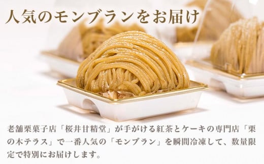 栗の木テラスのモンブラン 4個入 ［桜井甘精堂］スイーツ 菓子 栗 信州 長野県 冷凍 ご当地スイーツ 数量限定人気 期間限定 お取り寄せ ケーキ 先行予約 小布施  【2026年1月16日～4月末日発送】