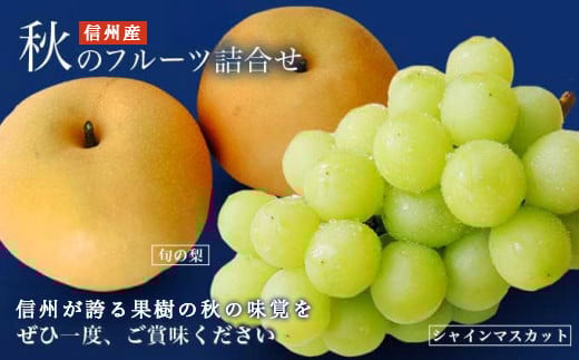 シャインマスカット1房と梨2玉 詰め合わせ ［小布施屋］果物 詰合せ セット フルーツ ぶどう なし シャインマスカット 先行予約 期間限定 冷蔵便 クール便 数量限定 長野県産 信州産 令和8年産 【2026年9月中旬頃～10月下旬頃まで順次発送】