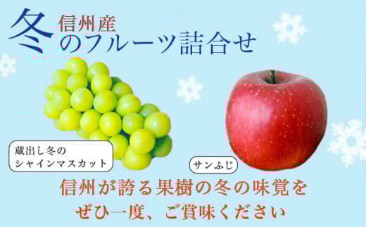 蔵出し冬のシャインマスカット1房とふじりんご2玉のセット 約1.3kg ［小布施屋］フルーツ 果物 詰め合わせ 詰合せ 数量限定 シャインマスカット サンふじ 単身用 一人暮らし 2人暮らし 長野県産 信州産 令和7年産 【2025年12月中旬頃～2026年2月発送】［A-305］