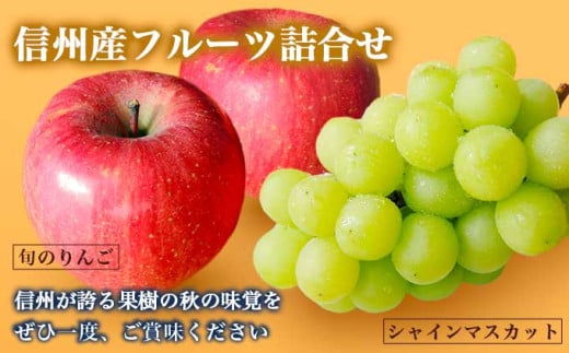 シャインマスカット1房とりんご2玉 約1.3kg　詰め合わせ ［小布施屋］果物 詰合せ セット フルーツ ぶどう 林檎 シャインマスカット 数量限定 期間限定 先行予約 冷蔵便 クール便 長野県産 信州産 送料無料 令和8年産 【2026年9月下旬頃～11月上旬頃まで順次発送】 ［A-307］