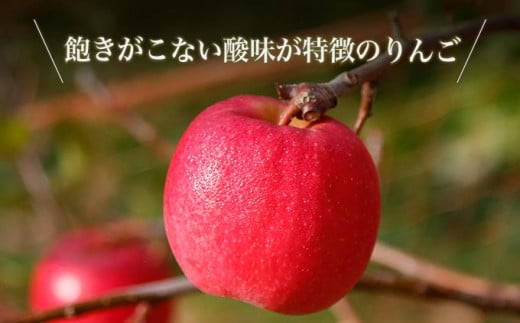 日本のりんごにはない強い酸味と深い味わいが魅力です。
